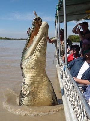 http://rumicn.com/uploadfile/2014/0819/20140819041818226.jpg