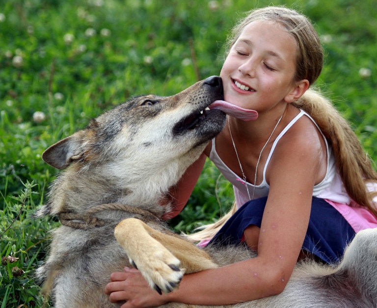 http://rumicn.com/uploadfile/2014/0819/20140819042828648.jpg