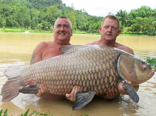 http://rumicn.com/uploadfile/2014/0821/20140821040628504.jpg