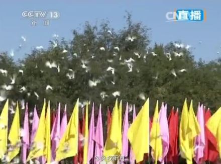 http://rumicn.com/uploadfile/2014/0903/20140903023541658.jpg