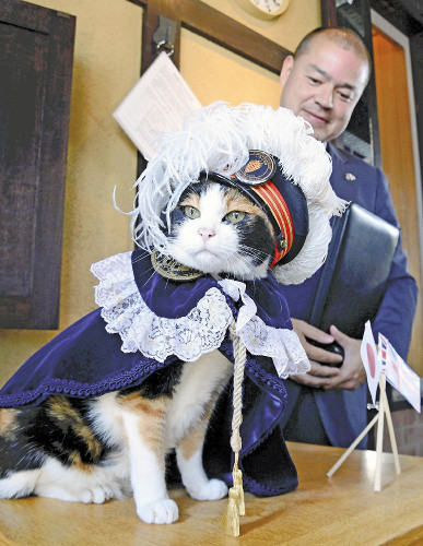 http://rumicn.com/uploadfile/2014/0903/20140903041907441.jpg