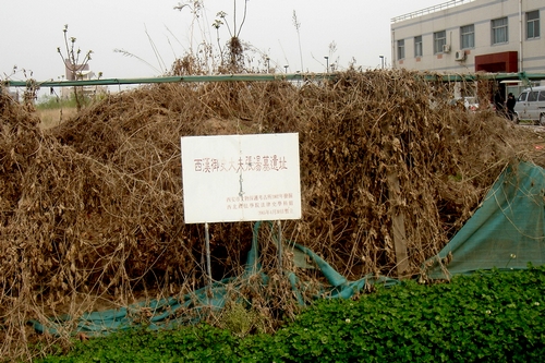 http://rumicn.com/uploadfile/2014/0910/20140910113709853.jpg