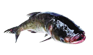 http://rumicn.com/uploadfile/2014/0922/20140922102154163.jpg