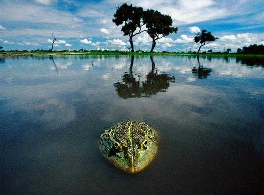 http://rumicn.com/uploadfile/2014/1008/20141008103251473.bmp