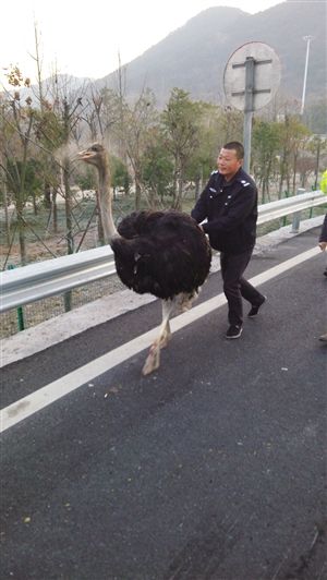 http://rumicn.com/uploadfile/2014/1223/20141223100232540.jpg