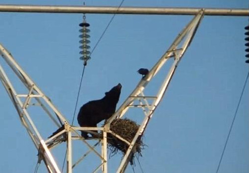 http://rumicn.com/uploadfile/2015/0525/20150525035747479.jpg