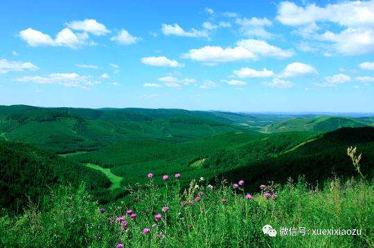 習(xí)總牽掛的塞罕壩，你去過(guò)嗎,？小組剛?cè)ミ^(guò),！