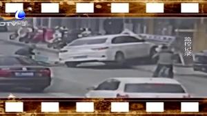 一只小狗引發(fā)車(chē)禍