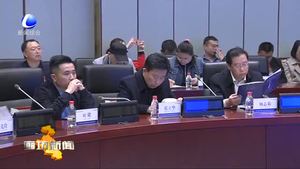 中國(guó)（廊坊）智能汽車高峰論壇暨中德產(chǎn)業(yè)合作峰會(huì)舉行