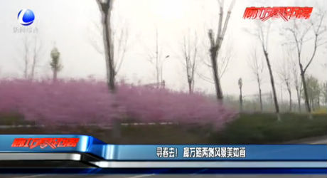 尋春去！廊萬路兩側(cè)風(fēng)景美如畫