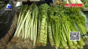 春筍大量上市 食用不當或致病