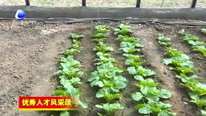 劉君：利用農(nóng)業(yè)信息化技術(shù) 提升為農(nóng)服務水平