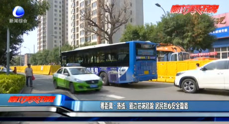 路邊枯樹危險 居民擔(dān)心安全隱患