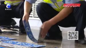 交警二大隊(duì)集中銷毀1800余副假牌照 假牌套牌交通違法無(wú)處遁形
