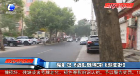 零距離關注:市民在樹上發(fā)現不明生物?竟是美國白蛾天敵