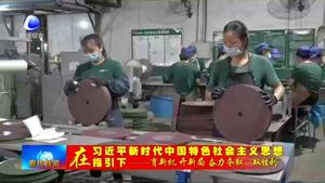 盛森磨具有限公司：化危為機(jī) 助推企業(yè)逆勢上揚