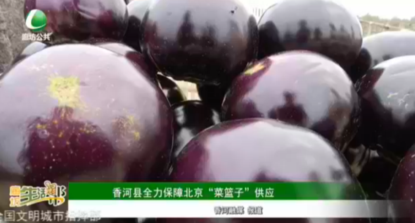 香河縣全力保障北京“菜籃子”供應