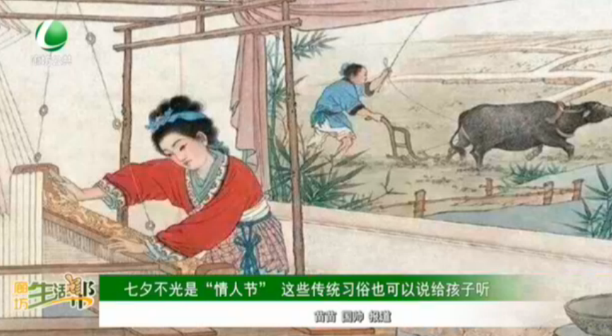七夕不光是“情人節(jié)”這些傳統(tǒng)習(xí)俗也可以說(shuō)給孩子聽