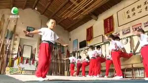 非遺傳承——?jiǎng)俜兼?zhèn)泉樂(lè)武術(shù)會(huì)“武德至上 已善為根”