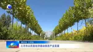 三河市以民宿經(jīng)濟撬動旅游產(chǎn)業(yè)發(fā)展