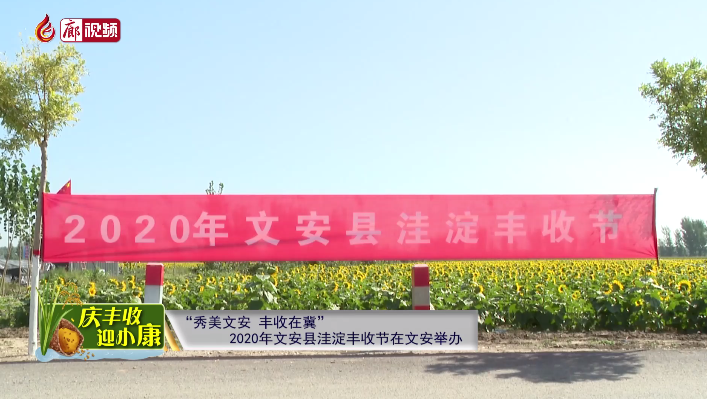  廊視頻 | “慶豐收迎小康”——“秀美文安,，豐收在冀”2020年文安縣洼淀豐
