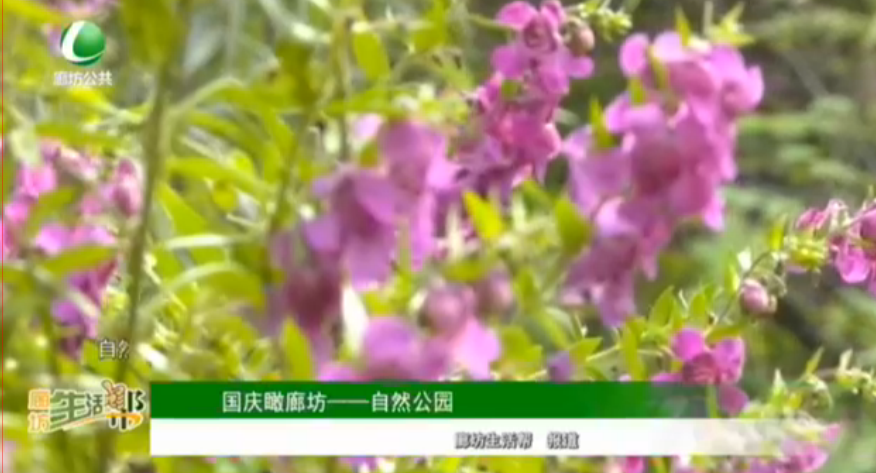 國(guó)慶瞰廊坊 ——自然公園