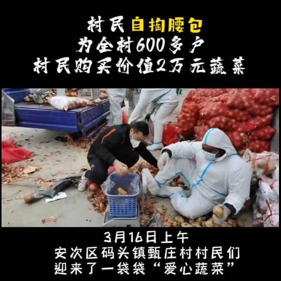 村民自掏腰包為全村600多戶(hù)村民 購(gòu)買(mǎi)價(jià)值2萬(wàn)元蔬菜