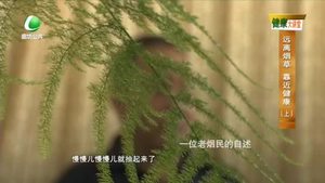 樂(lè)游天下 20221021