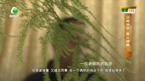 樂(lè)游天下 20221125