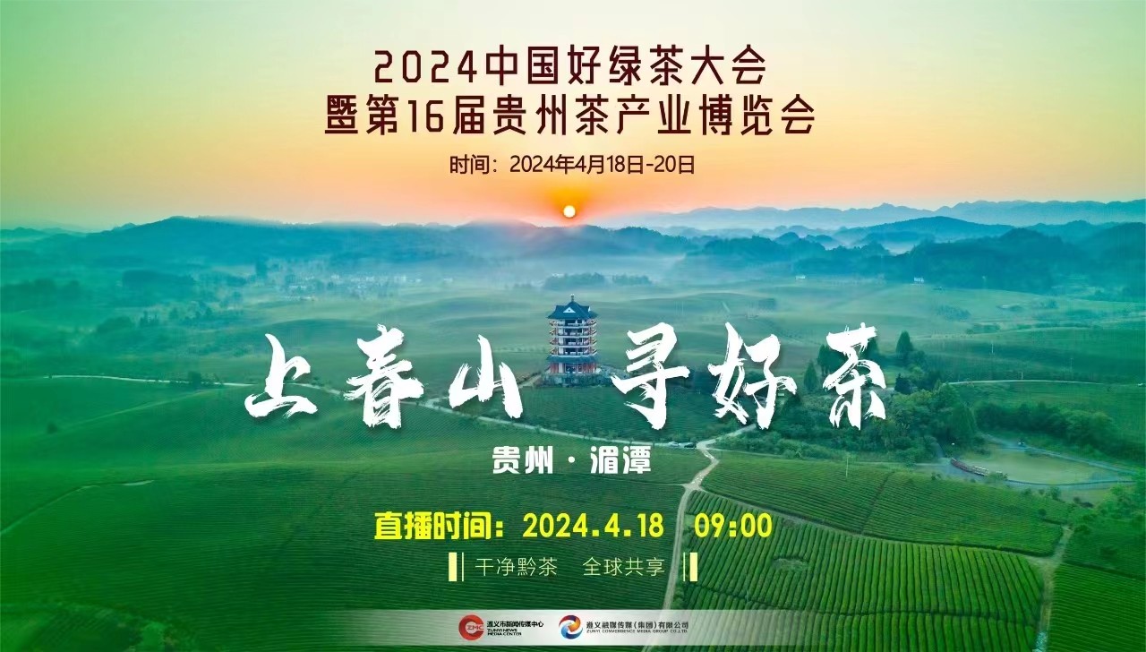 “上春山 采春茶”2024來(lái)遵義湄潭,，一起采春茶