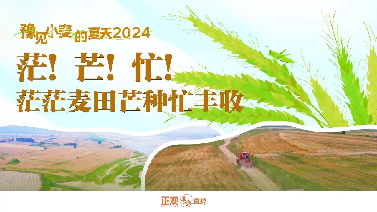 豫見小麥的夏天2024 | 茫,！芒！忙,！茫茫麥田芒種忙豐收,！