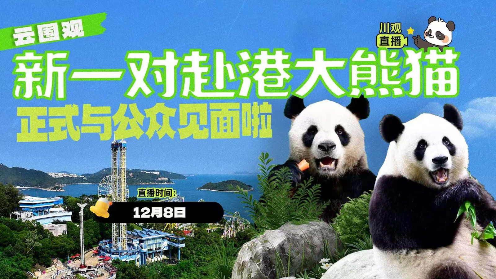 云圍觀,！新一對(duì)赴港大熊貓正式與公眾見面啦