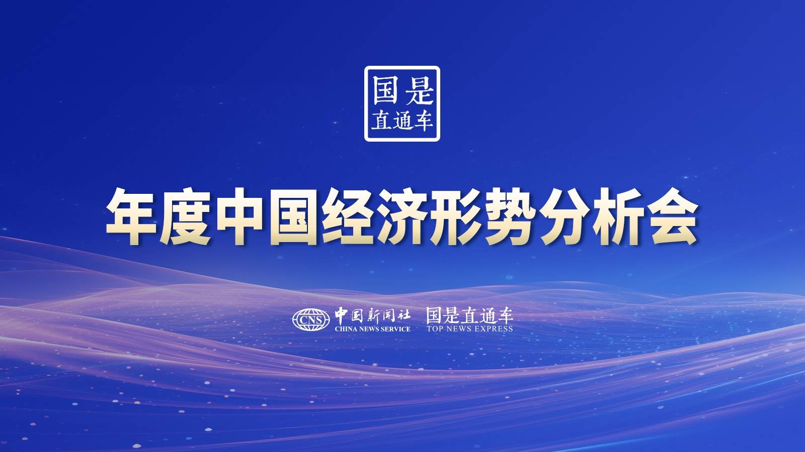 年度中國(guó)經(jīng)濟(jì)形勢(shì)分析會(huì)